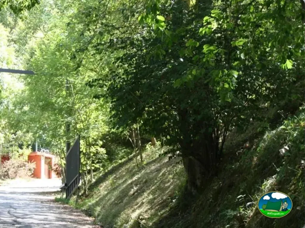 Camping Abadesses en Sant Joan de les Abadesses, Girona - imagen 3