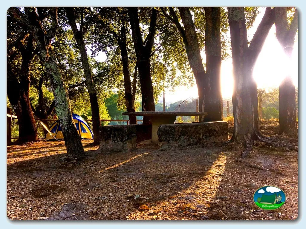 Camping Pedrógão Grande en Pedrógão Grande - imagen 2