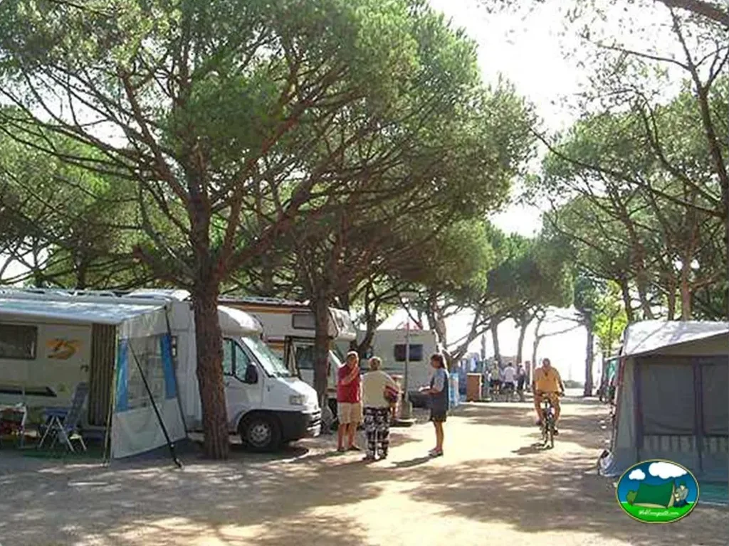 Camping S`Abanell en Blanes, Girona, Girona - imagen 2