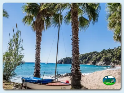 Playa junto al mar con palmeras y barcas de vela del Camping Cala Llevadó, Tossa de Mar (Girona)