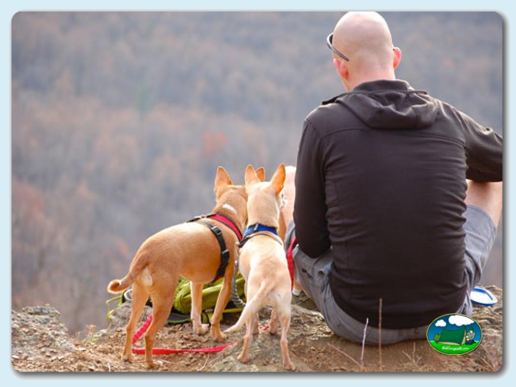 foto del camping Camping Cala Llevadó