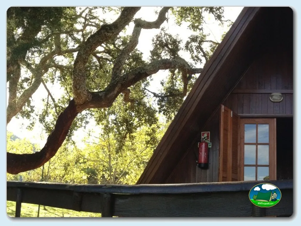 Glamping cabaña bajo árbol centenario del Camping Municipal do Castelo, Gois (Coimbra)