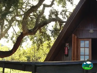 Glamping cabaña bajo árbol centenario del Camping Góis, Gois (Coimbra)