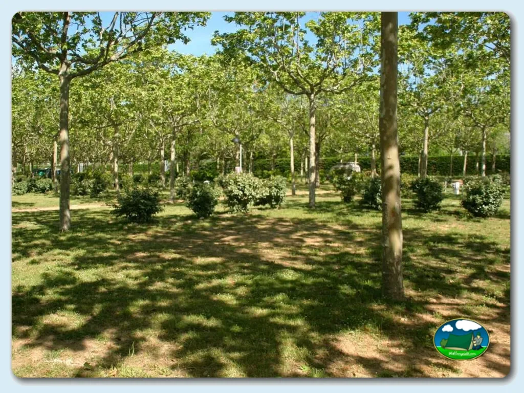 Camping Mas San José en Santa Cristina de Aro, Girona - imagen 5