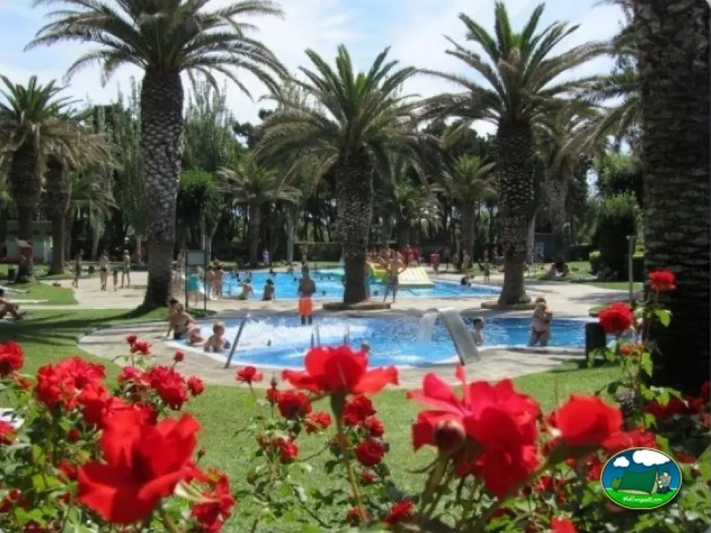 Piscina con vistas a palmeras y flores del Camping El Delfín Verde Platja d'Aro, Platja d'Aro (Girona)
