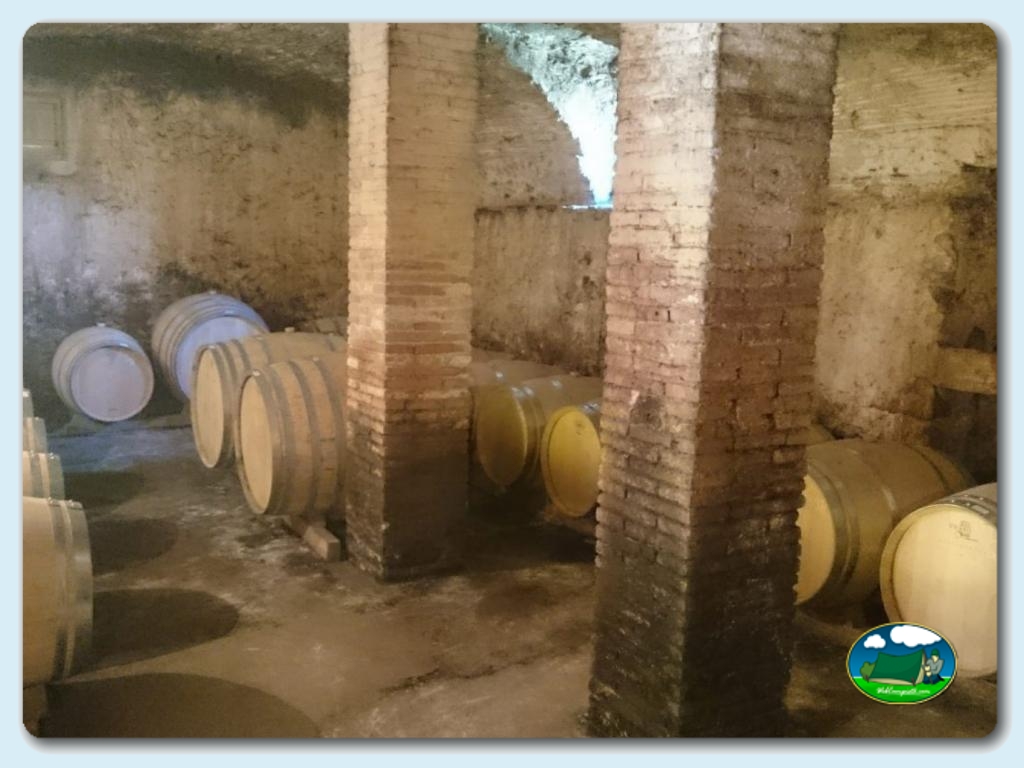 Camping Internacional Calonge