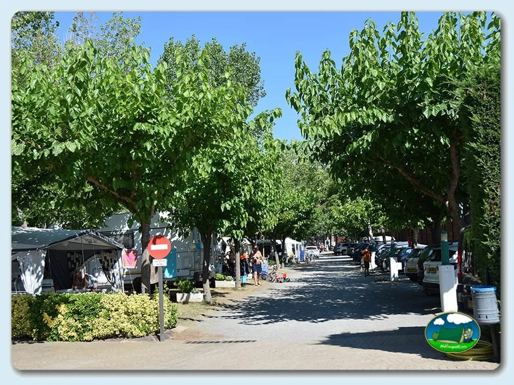 Parcela con árboles y camino arbolado del Camping Costa Brava, Sant Antoni de Calonge (Girona)
