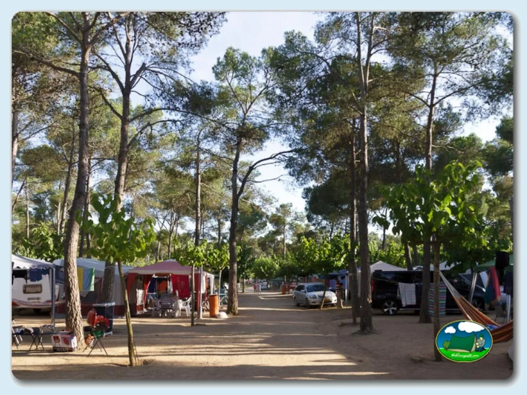 Parcelas entre árboles con tiendas de acampada del Camping Benelux, Palamos (Girona)