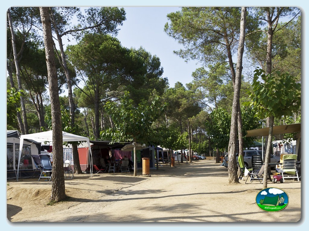 foto del camping Benelux