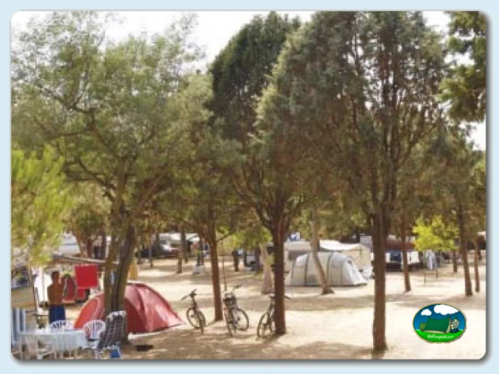 Camping Relax-Nat en MONT-RAS (GIRONA), Girona - imagen 4