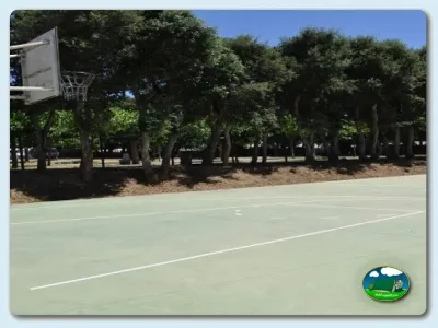 Cancha de baloncesto entre árboles del Camping Mas Patoxas, Pals (Girona)