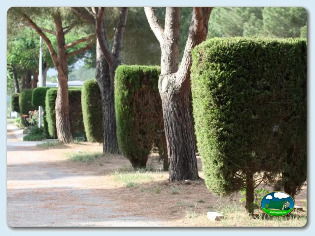 Camping Kim`s en LLafranc (Palafrugell), Girona