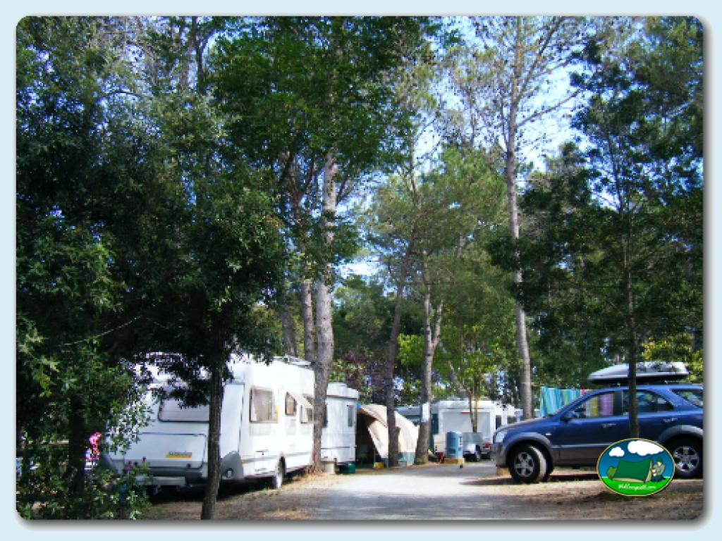 foto del camping Tamariu