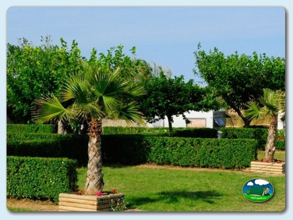 foto del camping Camping La Ballena Alegre