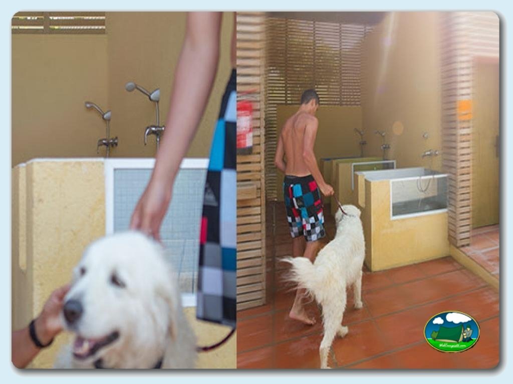 foto del camping Camping La Ballena Alegre