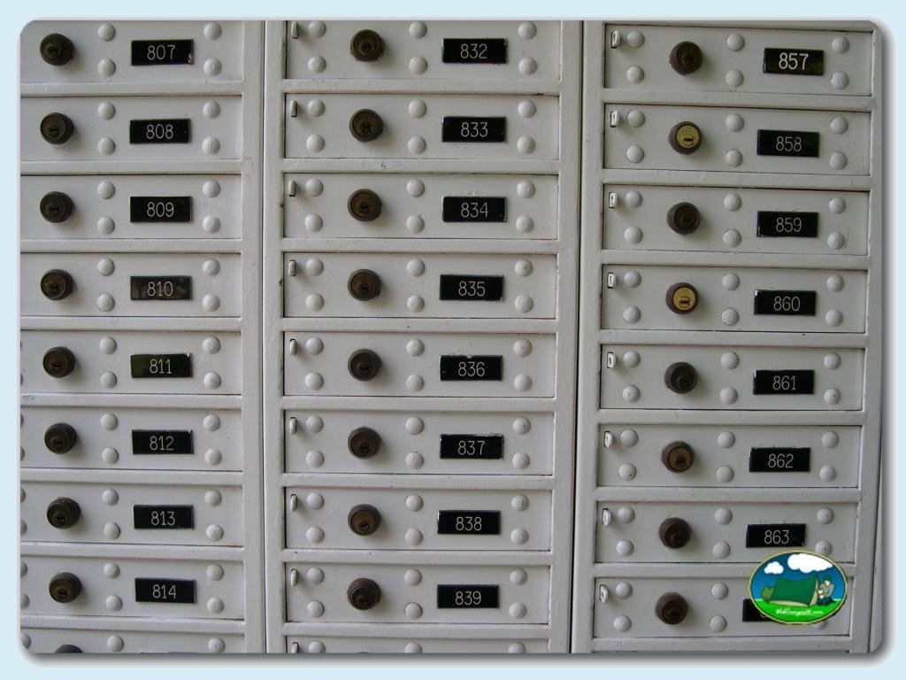 foto del camping Camping La Ballena Alegre