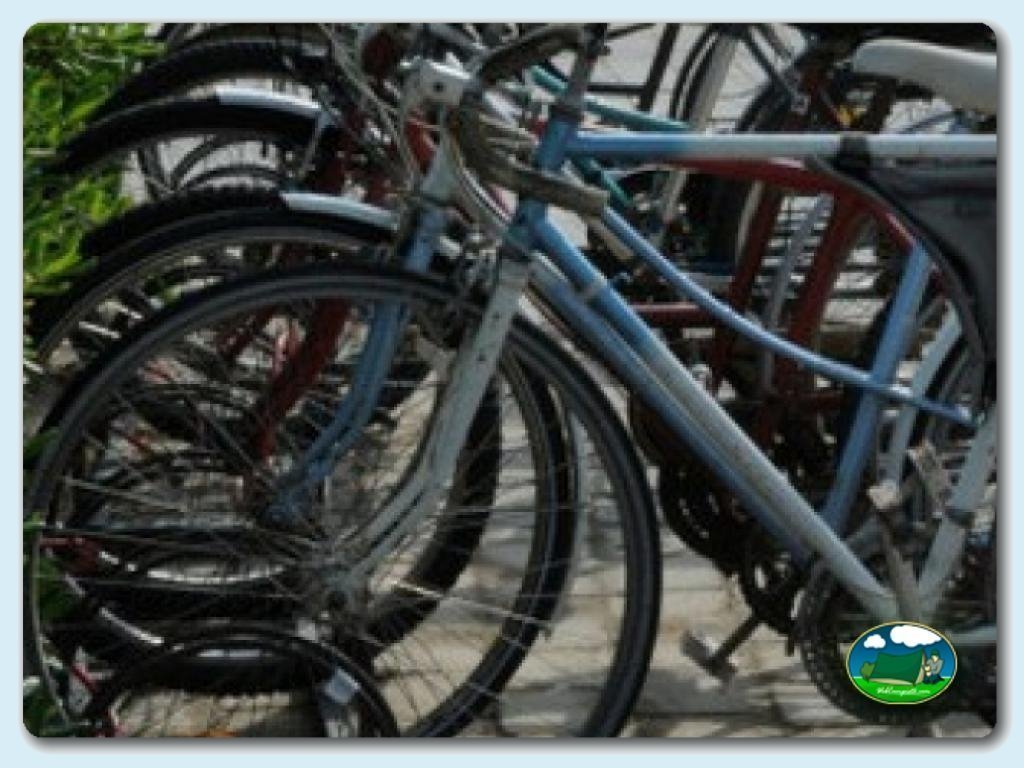 foto del camping Camping La Ballena Alegre