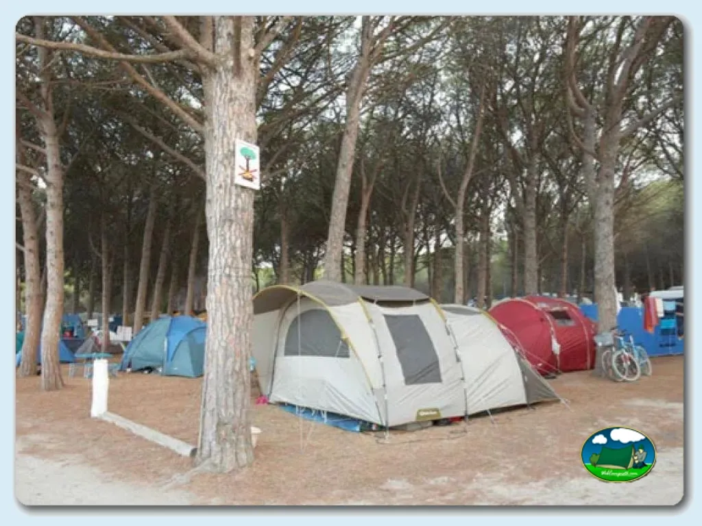 Camping Riells en L'Escala (Girona), Girona - imagen 4