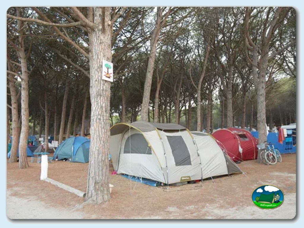 Camping Riells en L'Escala (Girona), Girona - imagen 2