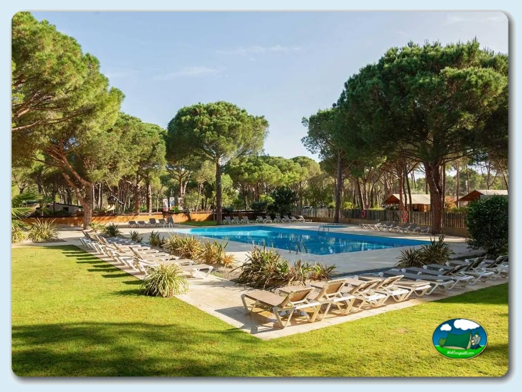 Piscina con vistas a pinar y tumbonas del Camping Neus Punta Milà, L'Escala (Girona)