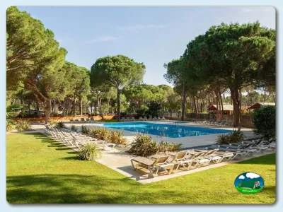 Piscina con vistas a pinar y tumbonas del Camping Neus Punta Milà, L'Escala (Girona)