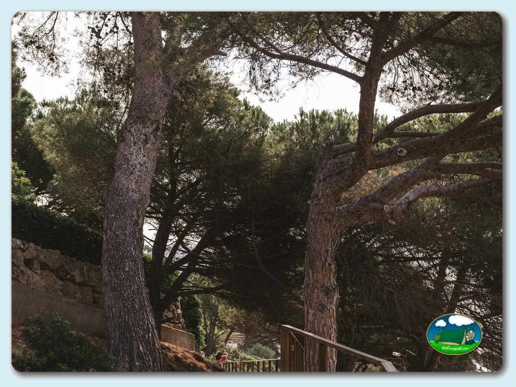 foto del camping Neus Punta Milà