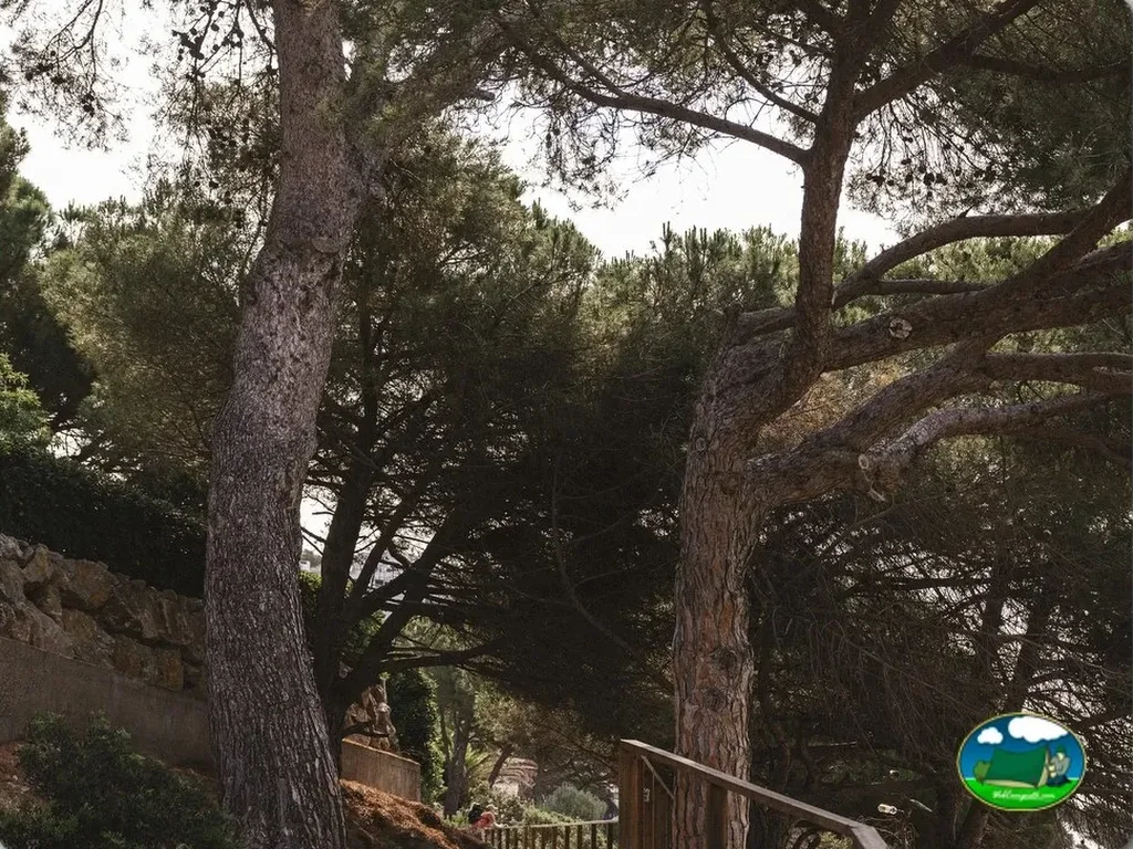 Camping Neus Punta Milà en L'Escala, Montgó, Girona - imagen 5