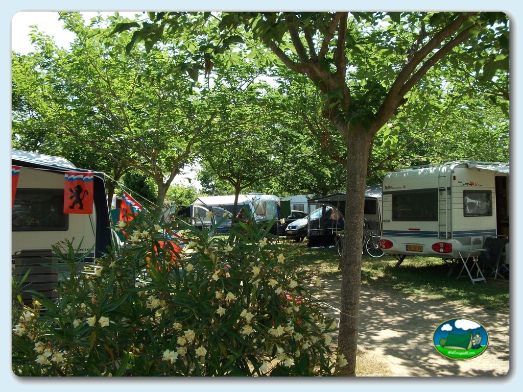 foto del camping Ter