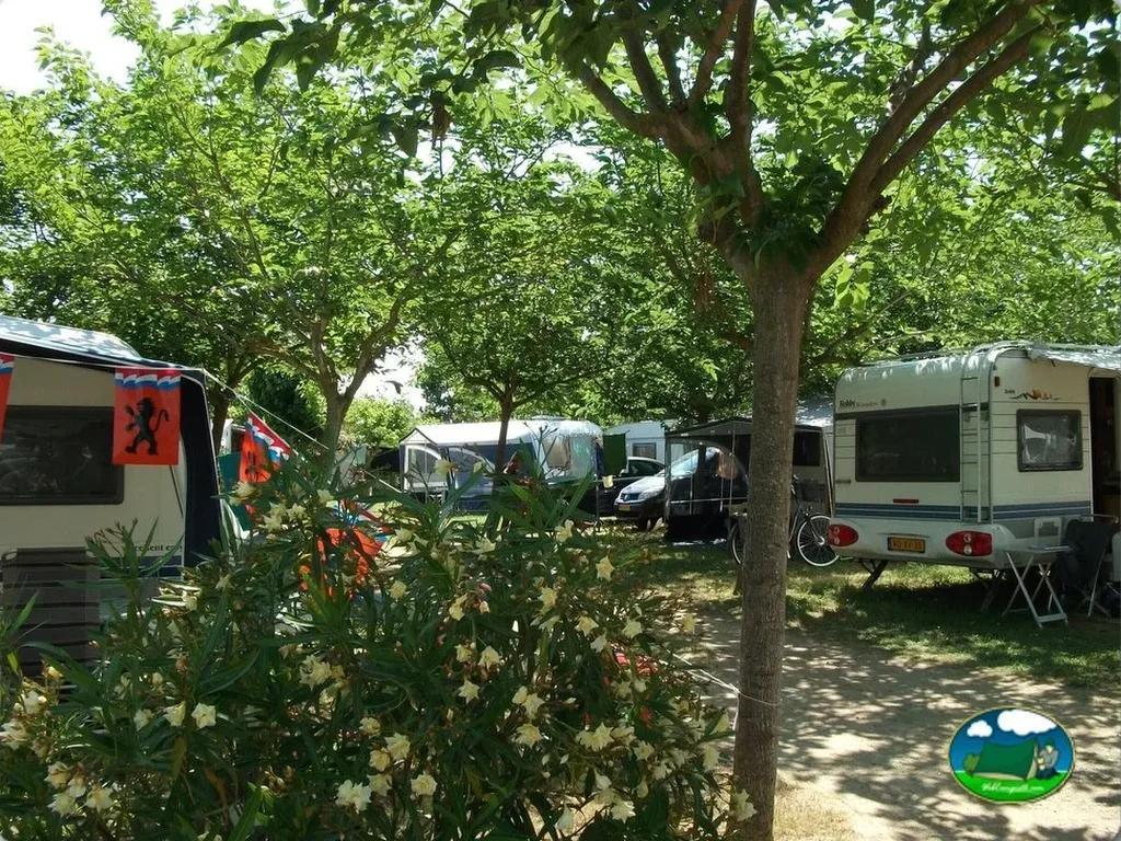Camping Ter en Torroella de Montgrí, Girona, Girona - imagen 3