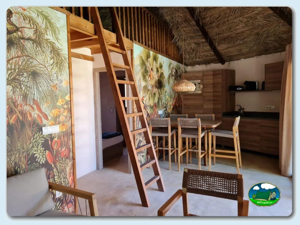 Camping El Delfin Verde en Torroella de Montgrí Costa Brava, Girona - imagen 4