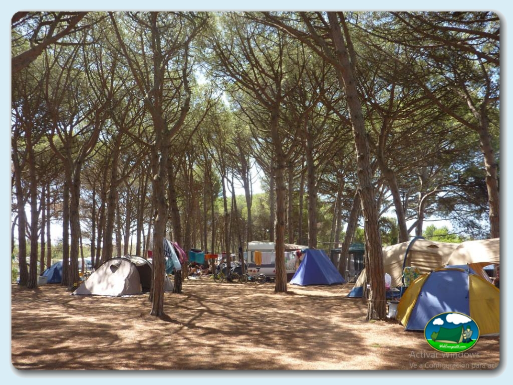 foto del camping El Molino