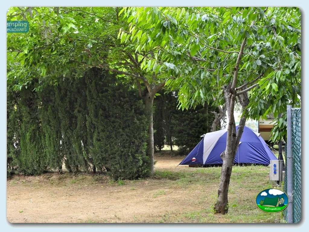 Parcela arbolada con tienda de acampada del Camping Ampurdanés, Roses (Girona)