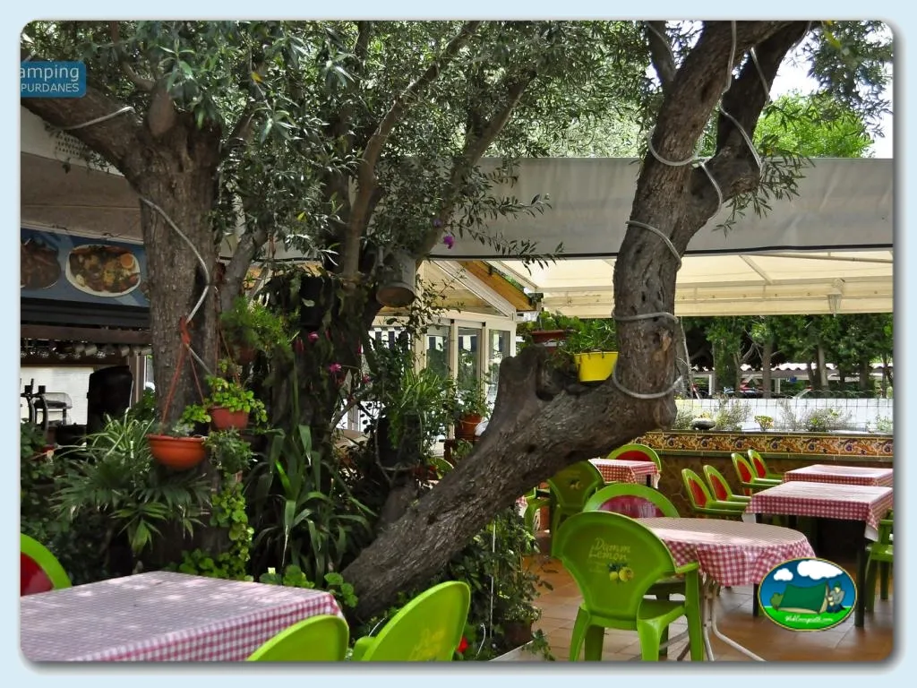 Restaurante con árboles centenarios y mesas al aire libre del Camping Ampurdanés, Roses (Girona)