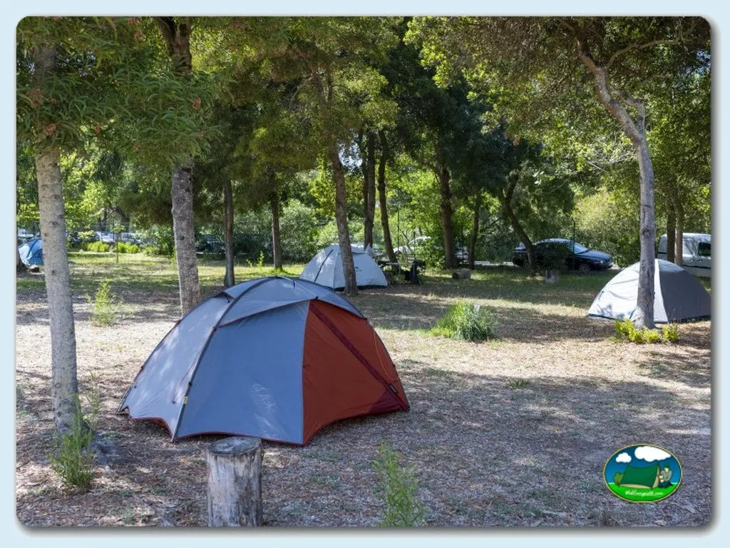 Tienda de acampada bajo árboles sombra del Camping Orbitur Mira, Mira (Coimbra)