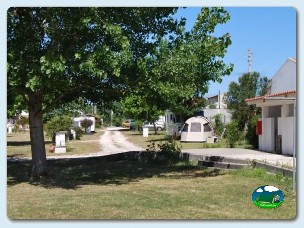 Parcela con tienda de acampada y árboles del Camping Coimbrão, Coimbrão (Leiria)