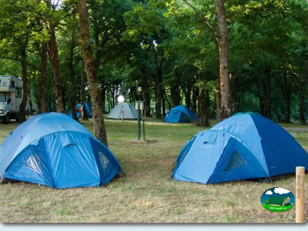 Parcela con tiendas de acampada entre árboles del Camping Vila de Sarria, Lugo (Lugo)