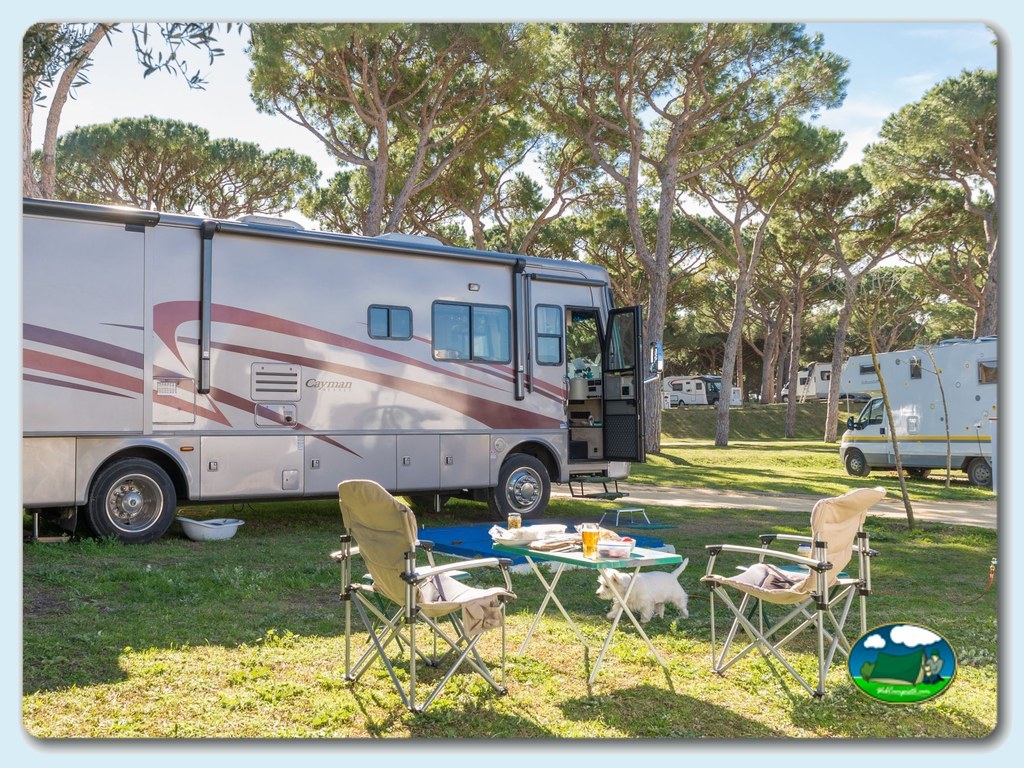 foto del camping Camping Pinar de San José