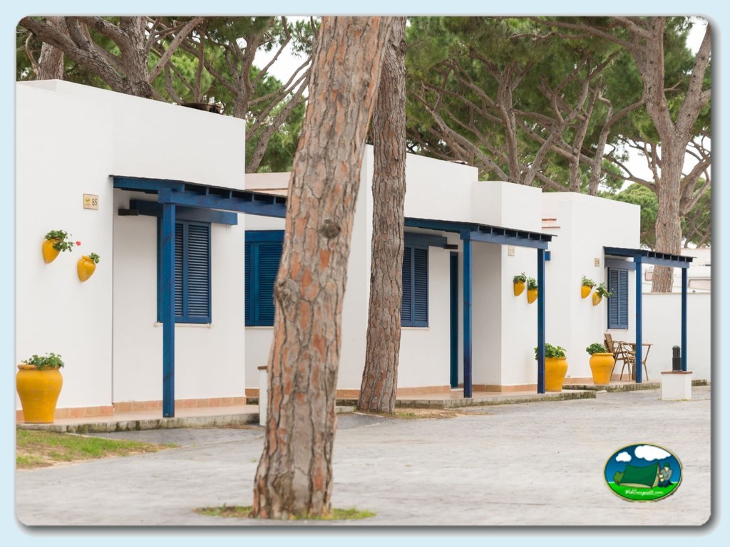 foto del camping Camping Pinar de San José
