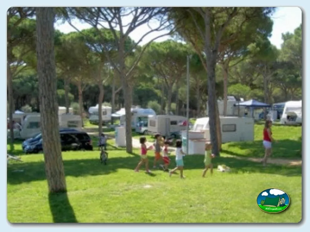 Camping Pinar de San José en Barbate