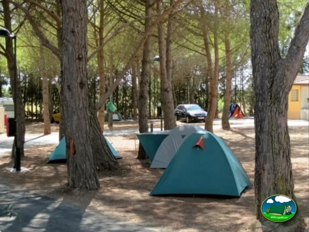 Parcelas bajo los árboles del Camping El Bolaso, Ejea de los Caballeros (Zaragoza)