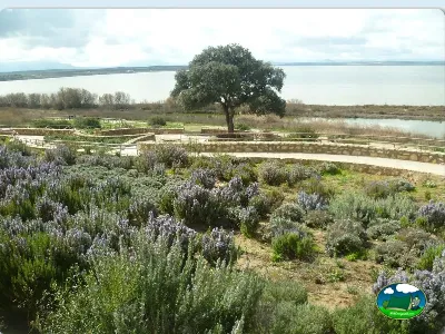 Parcela junto al lago con huerta y vistas al agua del Camping La Sierrecilla, Humilladero (Málaga)