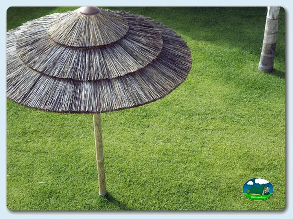 Camping Milfontes en Vilanova de Milfontes