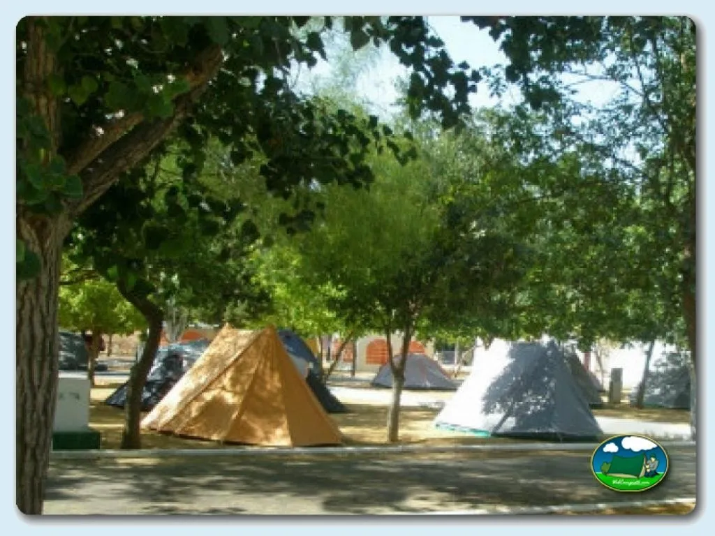 Tiendas de acampada bajo árboles en parcela arbolada del Camping Centro de Ocio Alúa Benamejí, Benamejí (Córdoba)