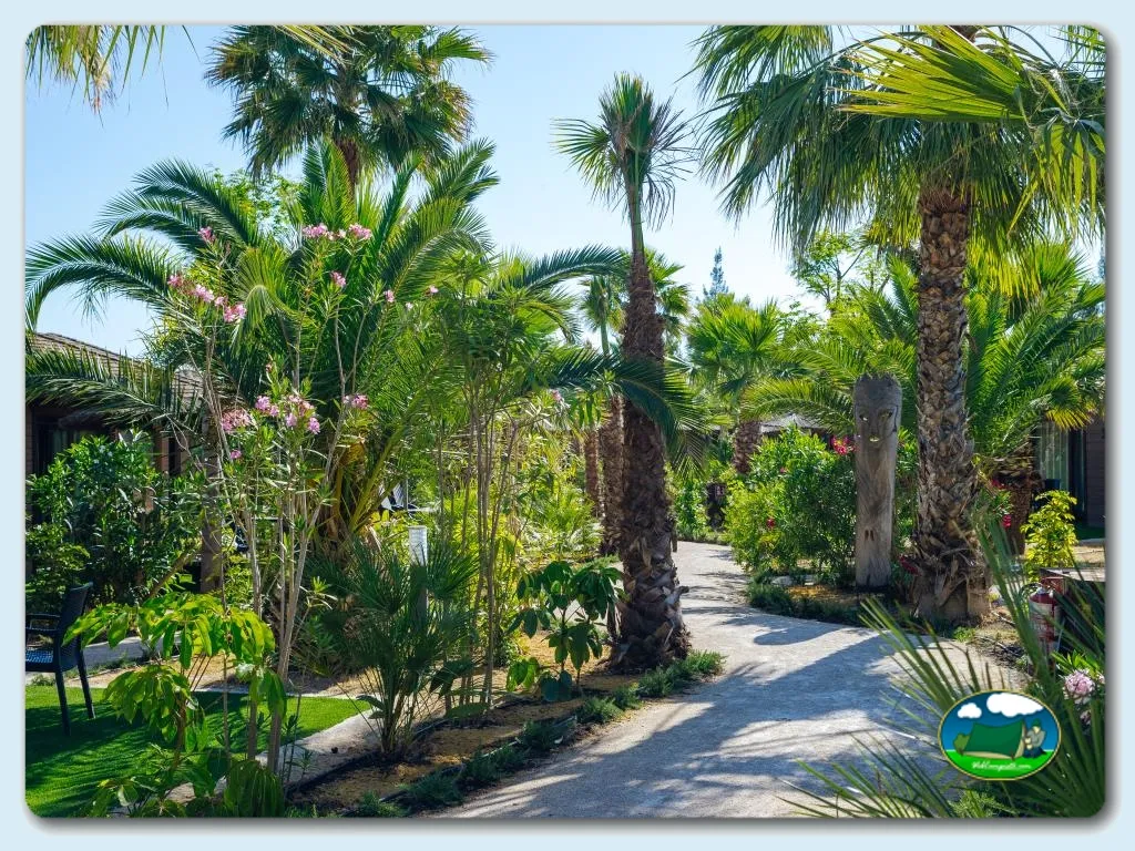 Parcela con palmeras y flores del Camping Alannia Costa Blanca, Crevillente (Alicante)