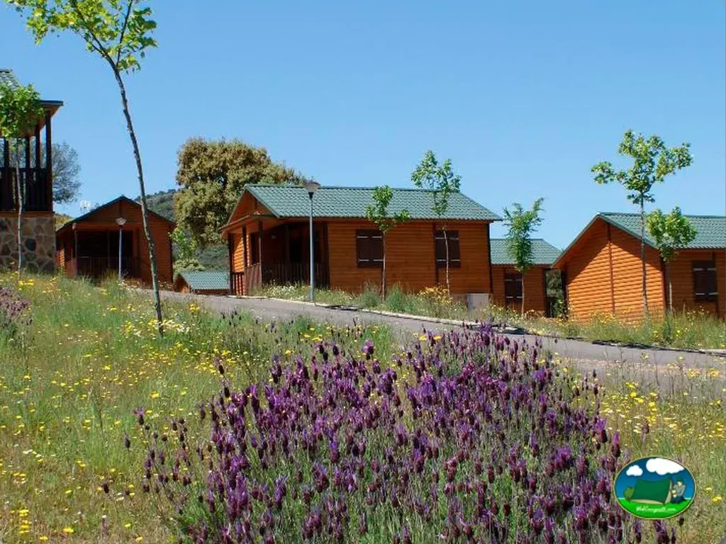 Camping Lincetur en Navas de Estena, Ciudad Real - imagen 4