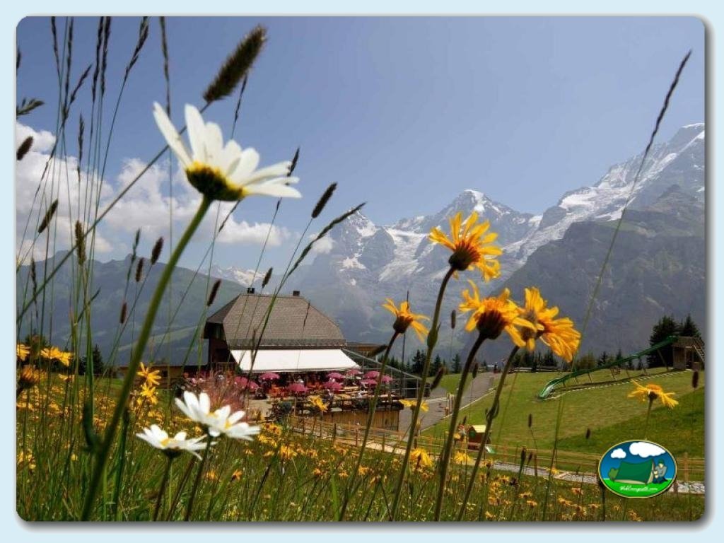Camping Hobby 3 en Interlaken - imagen 4