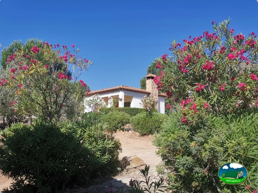 Camping El Cañar en Socovos, Albacete - imagen 5