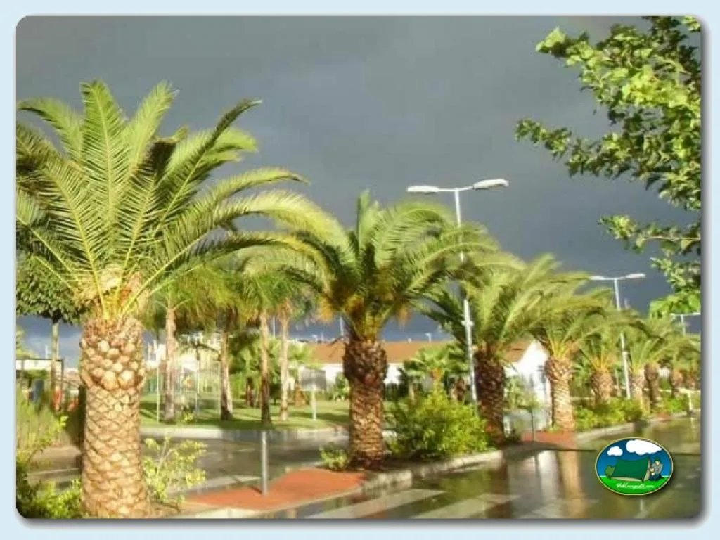 Foto de Camping Lo Monte, Alicante, Comunidad Valenciana, España - imagen 4