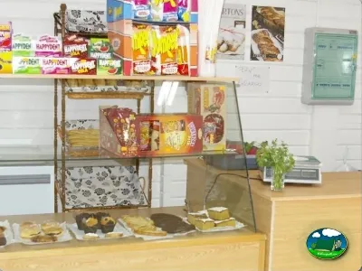Supermercado, interior con mostrador y productos del Camping Lo Monte, Pilar de la Horadada (Alicante)