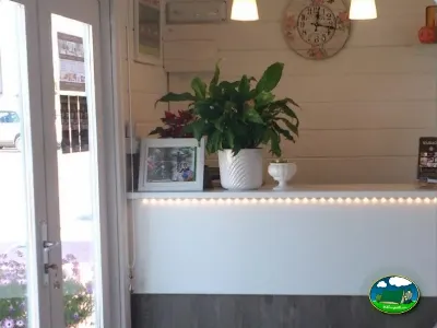 Recepción con mostrador y plantas decorativas del Camping Lo Monte, Pilar de la Horadada (Alicante)